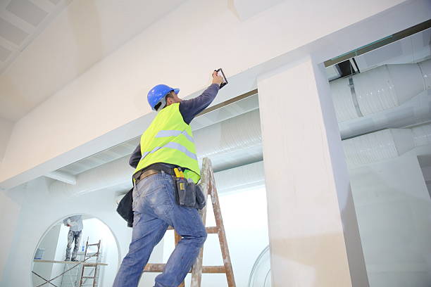 Best Drywall Sanding and Smoothing  in Cross Plains, TN